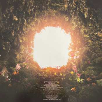 LP Melanie Martinez: Portals LTD | CLR