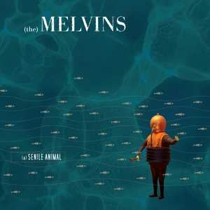 2LP Melvins: (A) Senile Animal LTD | CLR
