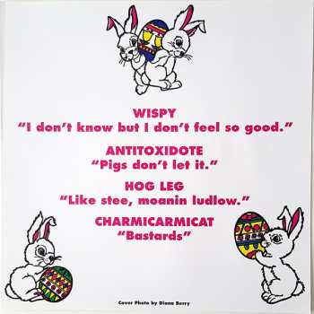 LP Melvins: Eggnog CLR