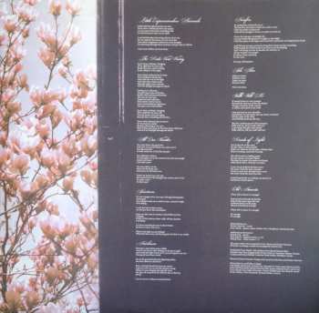 LP Memoryhouse: The Slideshow Effect