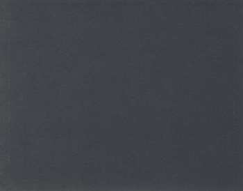 CD Merzbow: Chabo: 13 Japanese Birds Pt. 13 LTD