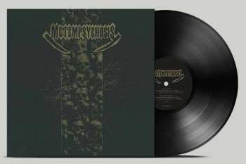 LP Metamorphosis: Metamorphosis Ltd.