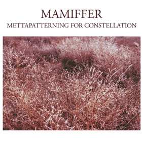 LP Mamiffer: Mettapatterning For Constellation