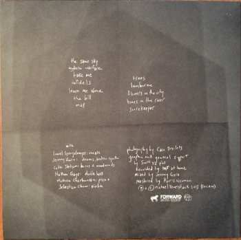 LP Michael Feuerstack: Tambourine Death Bed LTD