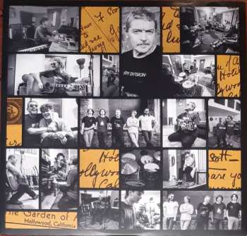 LP Michael Head & The Red Elastic Band: Dear Scott CLR | LTD