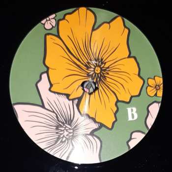 2LP Mick Flannery: Goodtime Charlie