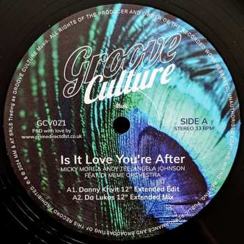 LP Angela Johnson: Is It Love You're After