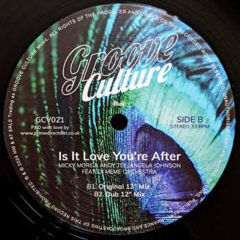LP Angela Johnson: Is It Love You're After