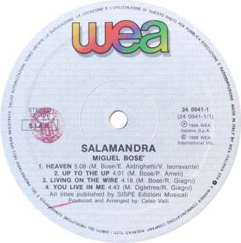 LP Miguel Bosé: Salamandra