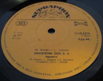 LP Miloslav Šimek: Návštěvní Den č.6