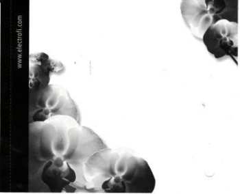 CD Miss Angel: That's The Way I Tumble