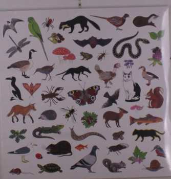 LP Modern Nature: Island Of Noise
