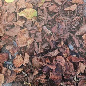 2LP Michal Prokop: Mohlo By To Bejt Nebe...