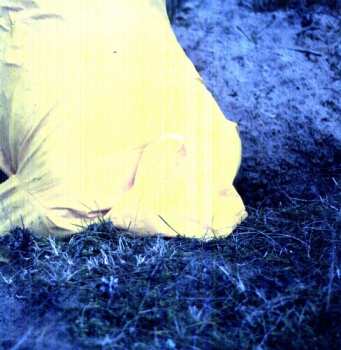 Album Mollono.Bass: My Hidden Playground