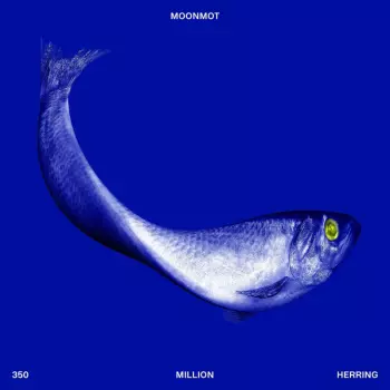 Moonmot: 350 Million Herring
