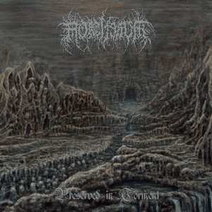CD Mortiferum: Preserved In Torment DIGI