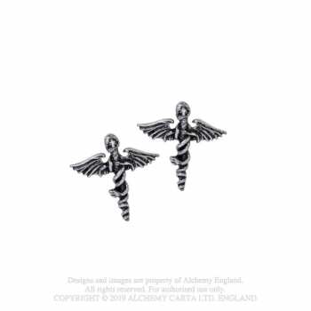 Merch Mötley Crüe: Earrings Swords