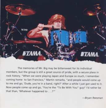 CD Mr. Big: Greatest Hits