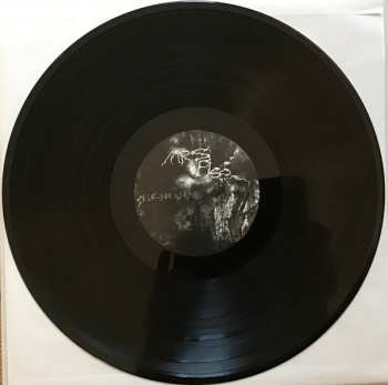 LP Mrs. Piss: Self​-​Surgery