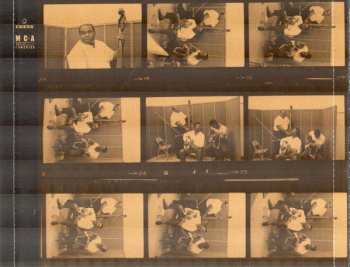 CD Muddy Waters: Folk Singer