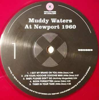 LP Muddy Waters: Muddy Waters At Newport 1960 LTD | CLR