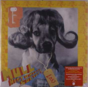 2LP Mull Historical Society: Loss