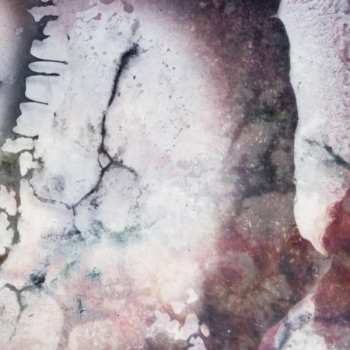 CD Multicast Dynamics: Outer Envelopes