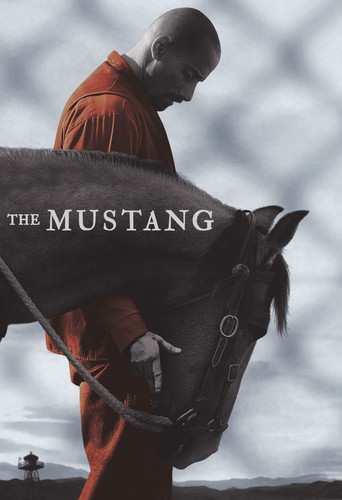 DVD Mustang: Mustang