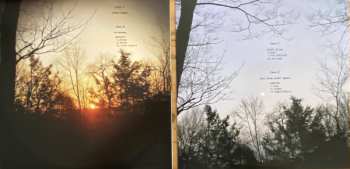 2LP MV & EE: Green Ark