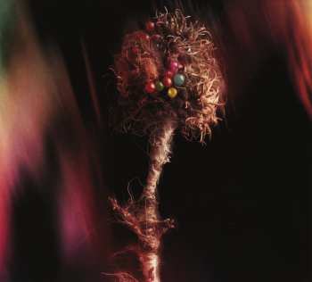 CD My Brightest Diamond: This Is My Hand