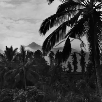 Mystical Communication Service: The Fierce People