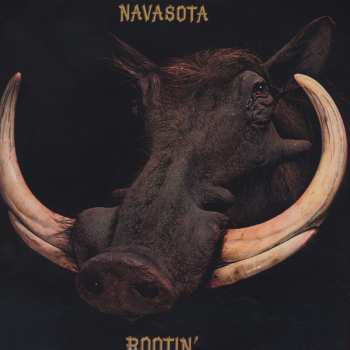 LP Navasota: Rootin'