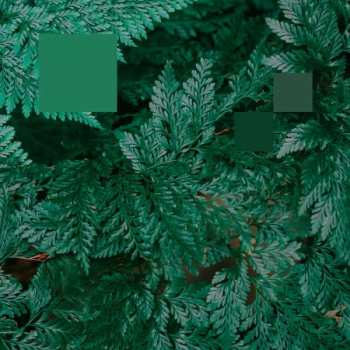 Album Nebraska: Metaphor To The Floor EP