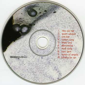 CD Nels Cline: The Inkling