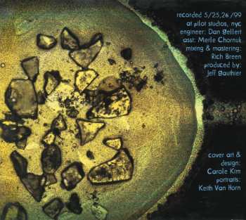 CD Nels Cline: The Inkling