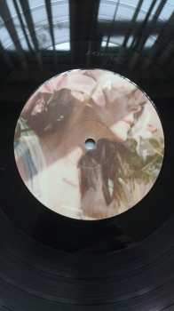 LP Nerina Pallot: Stay Lucky