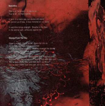 CD Neurosis: A Sun That Never Sets