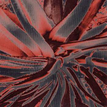 CD Neurosis: A Sun That Never Sets