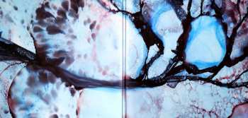 2LP New Model Army: Winter