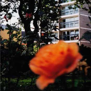 CD New Order: Waiting For The Sirens' Call
