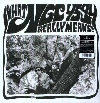 LP/SP NGC-4594: What NGC 4594 Really Means! LTD