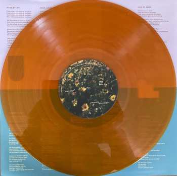 LP Nico Paulo: Nico Paulo CLR