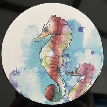 LP Nico Stojan: Fling