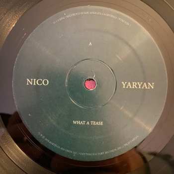LP Nico Yaryan: What A Tease