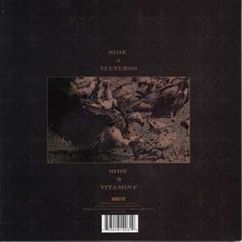 SP Nicole Atkins: Vultures