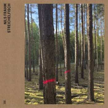 Album Nils Frahm: Streichelfisch