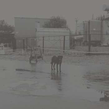 Album Nivhek: After Its Own Death / Walking In A Spiral Towards The House