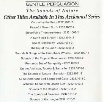 CD No Artist: Morning Meditation/Evening Meditation