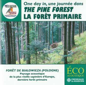 CD No Artist: One Day In The Pine Forest