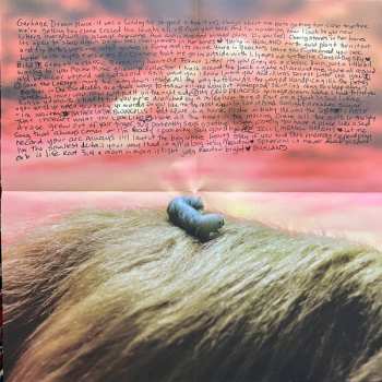 LP No Joy: Bugland CLR | LTD